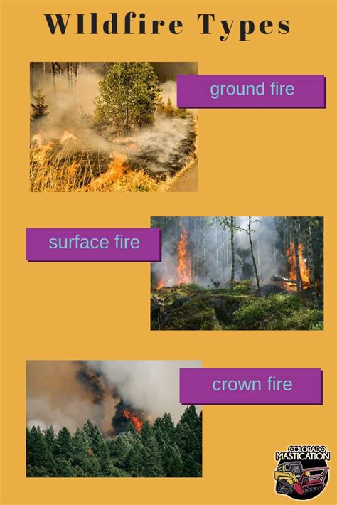 Learn About The Types Of Wildfires Forest Fire Natural Disasters