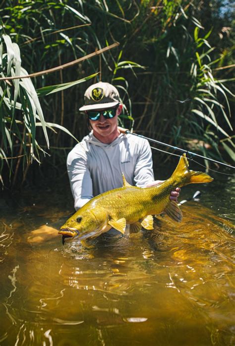 Fly Fishing South Africa With Tim Leppan Flylords Mag