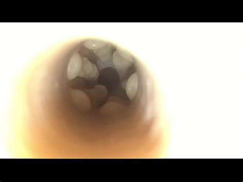 Slow Motion Fleshlight Cumshot Xnxx Com