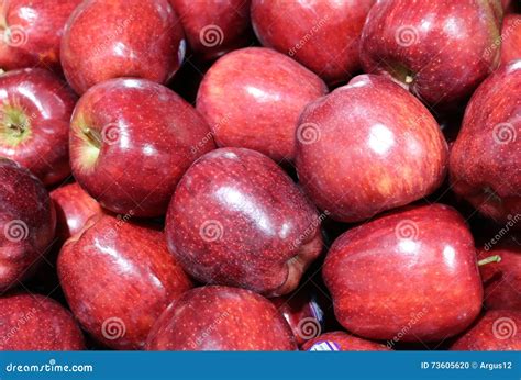 Apple Fruit Texture Background Stock Photo Image Of Plant Texturen