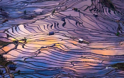 Aerial View Of Terraced Rice Fields Yuanyang County China Bing