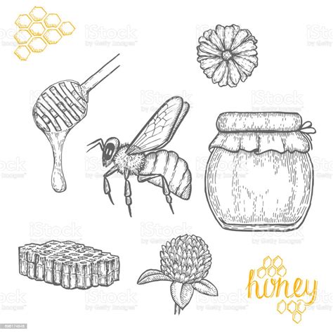 Hand Drawn Honey Set Over White Background Stock Illustration