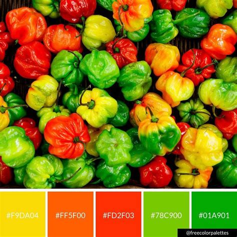 Summer Rainbow Bold And Vibrant Peppers Color Palette Inspiration