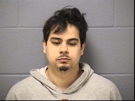 Police Blotter Sex Offender Fails To Register Man Sentenced On Drug Charge Romeoville Il Patch