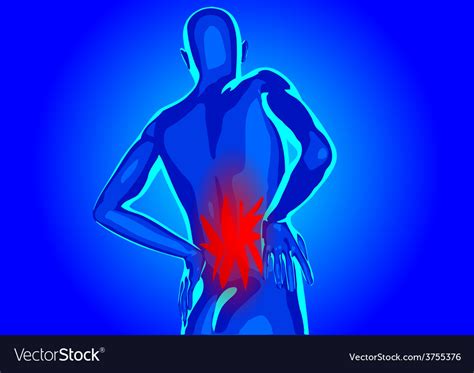 Lower Back Pain Royalty Free Vector Image Vectorstock