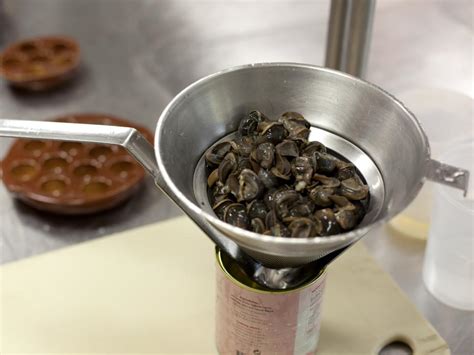 How To Escargots With Parsley Butter And Brioche How To