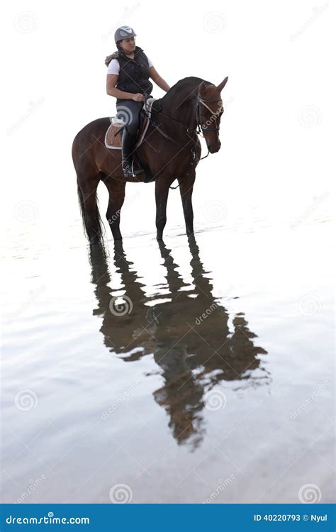 Horse Riding In The Water Stock Image Image Of European 40220793