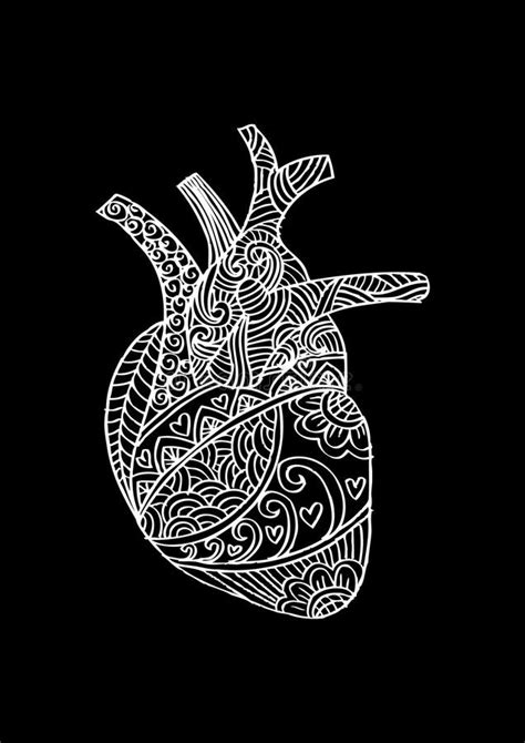 Zentangle Stylized Human Heart Stock Illustration Illustration Of