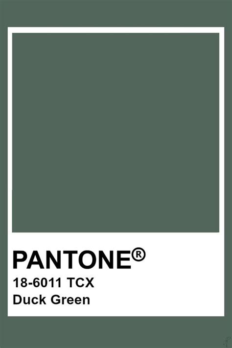 Pantones Duck Green Color Is Shown