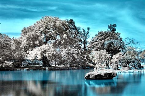 45 Impressive Examples Of Infrared Photography