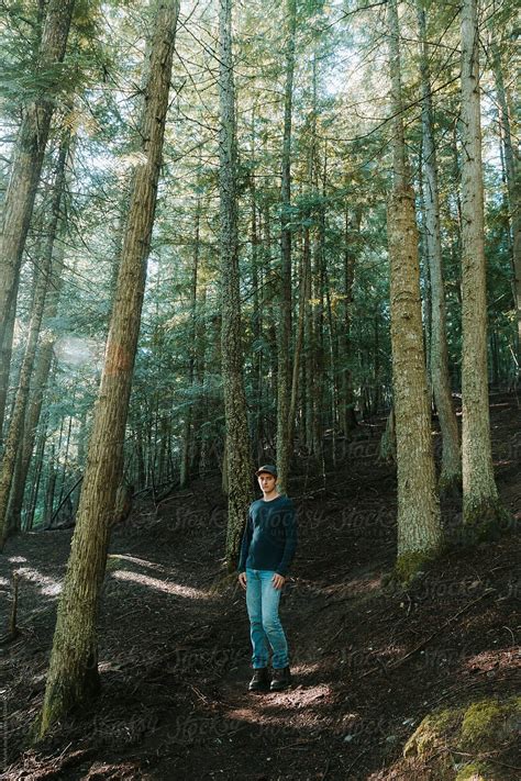 Man Standing On A Hiking Trail In A Cedar Forest By Stocksy