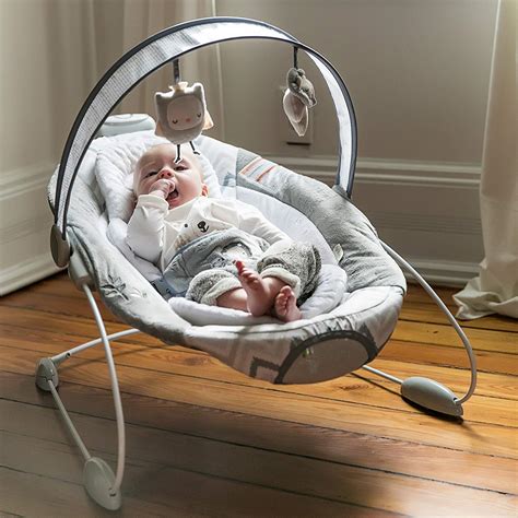 Top 10 Best Baby Bouncers In 2021 Reviews Buyers Guide