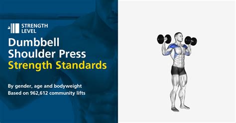 Dumbbell Shoulder Press Standards For Men And Women Lb Strength Level