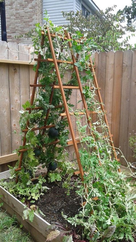 Watermelon Trellis With Bird Netting Pockets Vertical Vegetable Gardens