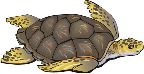 Cute Turtle Clip Art Free Clipart Images Clipartix