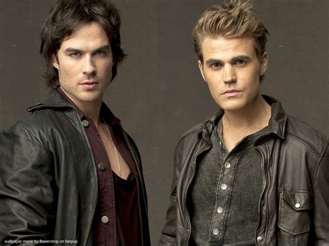 Damonandstefan Damon And Stefan Salvatore Wallpaper 28036103 Fanpop