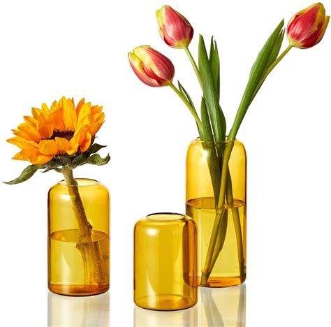 Zens Glass Vase Set Of 3 Modern Small Clear Bud Vases For Home Decor Flowers Hand Blown Medium