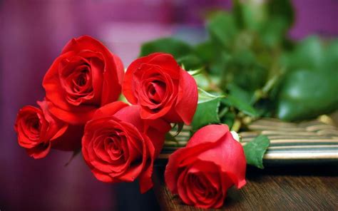 Hd Long Stemmed Red Roses Wallpaper Download Free 67162