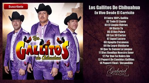 Los Gallitos De Chihuahua En Vivo Desde El Carricito Disco Completo