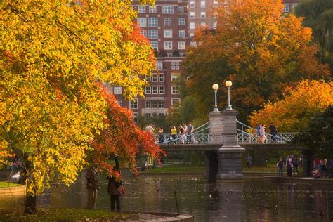 Boston Public Garden Lagoon Bridge Photograph By Joann Vitali Fine