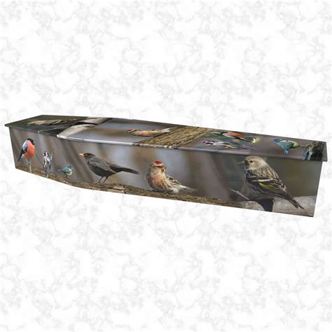 British Birds Colourful Coffin The Coffin Collection The Funeral Outlet