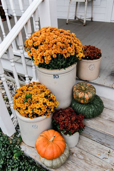 Decorating With Mums For Fall Floral Decor Ideas A Cultivated Nest