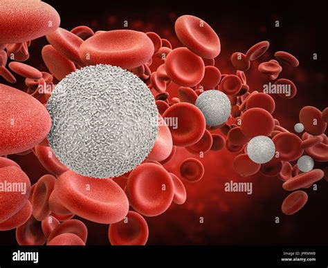 3d Rendering White Blood Cells With Red Blood Cells Stock Photo Alamy