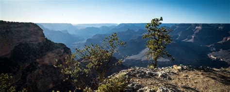 Download Wallpaper 2560x1024 Tree Mountains Canyon Landscape View
