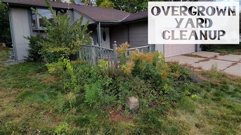 Overgrown Yard Cleanup Overhaul With Equipment Time Lapse 4k