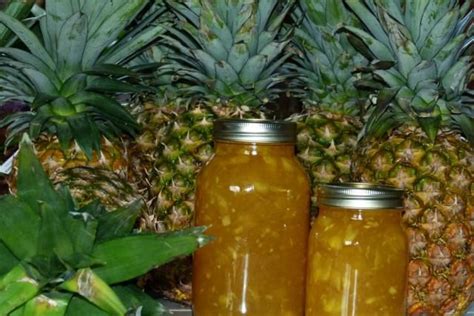 Surejell Fresh Pineapple Jam Image 1 Pineapple Jam Pineapple Jelly