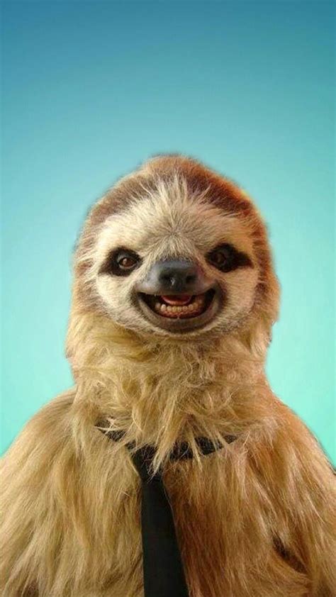 Sloth A Cute Sloth Phone Wallpaper I Made Smiling