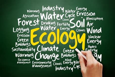 Ecology Word Cloud Collage Stock Image Image Of Board 200053697