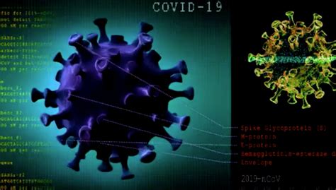 Study Coronavirus Can Remain In Air For 3 Hours Live On Plastic For