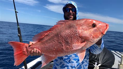 The barometer dial shows you how much and at what speed the pressure is changing. Salt Strong | - How To Catch Big Red Snapper Like A PRO ...