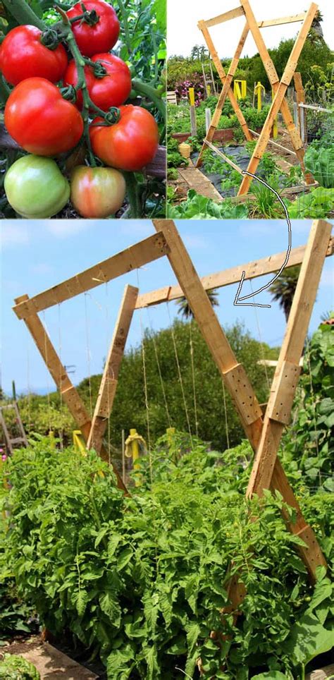 19 Successful Ways To Building Diy Trellis For Veggies And Fruits