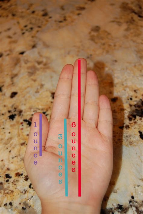 24 pack/count of 3 oz units. For meat and protein, use your palm's area and thickness ...