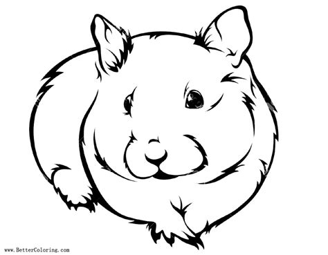 Hamster Coloring Pages Realistic Drawing Free Printable Coloring Pages