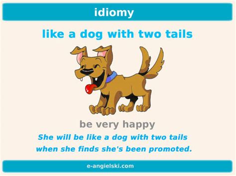 In the uk this operation is illegal unless the dog was bred for his two tails enable him to fly. like a dog with two tails | E-angielski.com