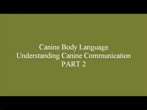 Pin By Chanel Aprahamian On Understanding Dog Body Language Part 2