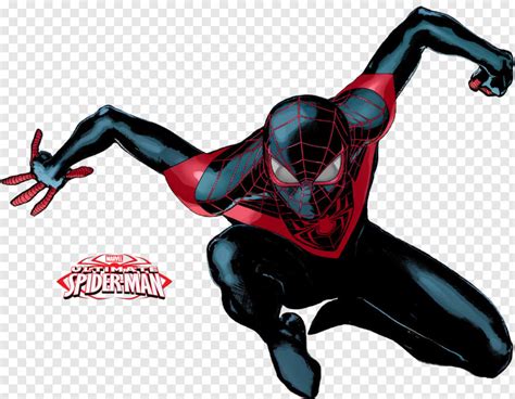 Spider Spider Man Homecoming Spider Webs Cute Spider Black Widow