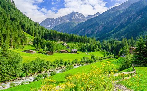 Alpine Green Landscape Green Meadows Gunung Sungai Puncak Alpes Austria