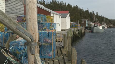 Ctv Your Morning Nova Scotia Lobster Fishing Season Set To Begin Tomorrow