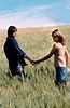 Dandelion – Eine Liebe in Idaho: Trailer & Kritik zum Film - TV TODAY
