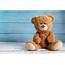 Teddy Bear Day  Preschool & Daycare Serving Round Rock Texas