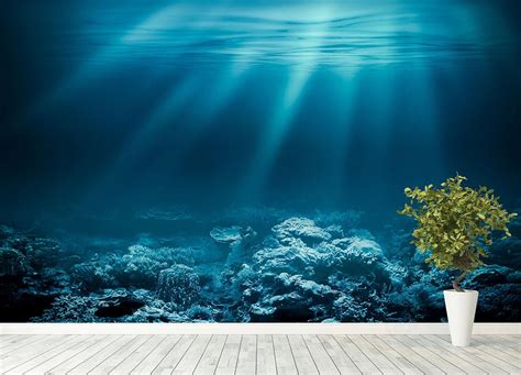 Ocean Underwater With Coral Reef Wall Mural Wallpaper Canvas Art Rocks