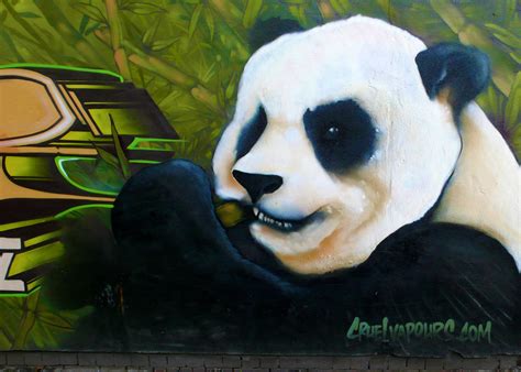 Painted Panda Another Masterpiece By Cruel Vapours Steve Richards