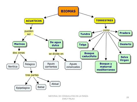 Mapa Conceptual De Los Niveles Troficos Zuela Images Porn Sex Picture My XXX Hot Girl