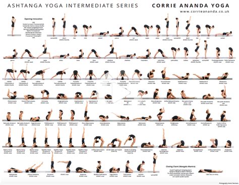 ashtanga yoga intermediate series with count pdf download corrie ananda yoga ashtanga yoga