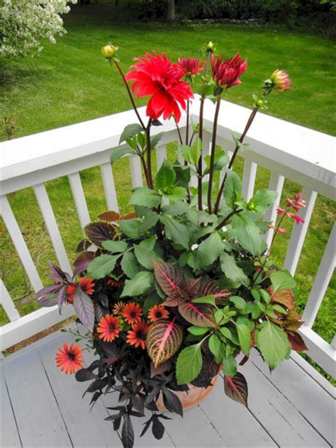 While the task is simple, there are some key ingredients to planting the perfect container garden. 25+ Gorgeous Full Sun Container Plants Ideas To Make Up ...