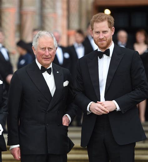 Charles 'bewildered' by comments says expert. Harry, Duke Of Sussex And His Father Prince Charles | Prince harry and meghan, Prince harry ...